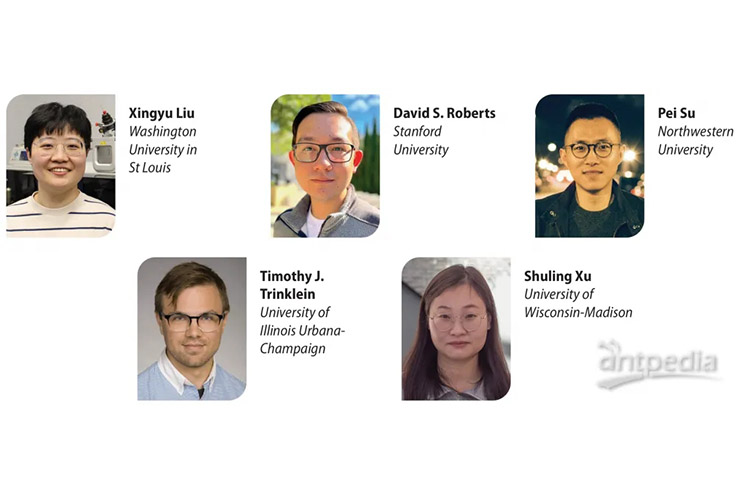2024 ASMS大奖出炉，荣誉由谁问鼎？